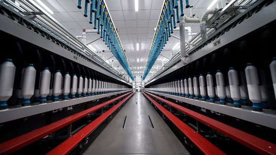 Fios de espuma 70% Poliéster reciclado 30% Birla Livaeco Viscose NE30/1 para tecelagem/noivagem