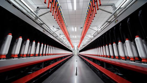 Fios de poliéster catiônico 65% 35% viscose NE 36/1 Siro Compacto para Tecelagem