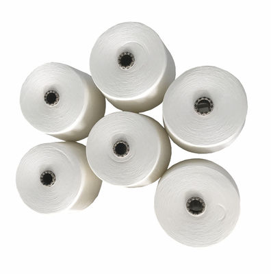 Ne30/1 Siro Spun Yarn para tricô 100% material de bambu testado para uniformidade de torção 750TPM